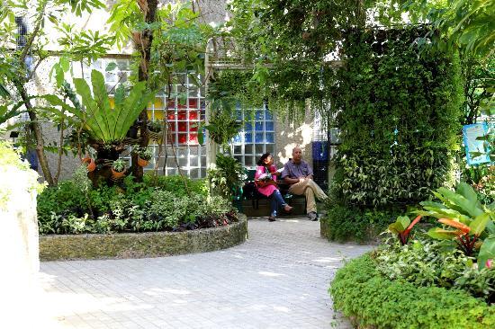 バンコク蝶の庭と昆虫館